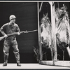 David Doyle in the stage production Something About a Soldier
