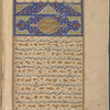 Siyar-i Nabî 