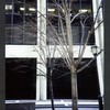 Block 033: Gouverneur Lane between Front Street and South Street (north side)