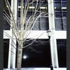 Block 033: Gouverneur Lane between Front Street and South Street (north side)