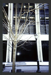 Block 033: Gouverneur Lane between Front Street and South Street (north side)