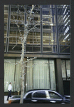 Block 034: Gouverneur Lane between Water Street and Front Street (north side)