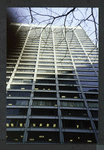 Block 037: Water Street between Maiden Lane and Wall Street (east side)