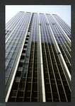 Block 037: Front Street between Wall Street and Maiden Lane (west side)