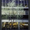 Block 038: Maiden Lane between Water Street and Pearl Street (south side)