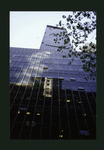 Block 038: Maiden Lane between Water Street and Pearl Street (south side)