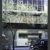 Block 038: Maiden Lane between Water Street and Pearl Street (south side)