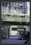 Block 038: Maiden Lane between Water Street and Pearl Street (south side)