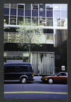 Block 038: Maiden Lane between Water Street and Pearl Street (south side)