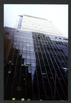 Block 038: Pearl Street between Maiden Lane and Pine Street (east side)