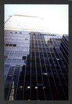Block 038: Pearl Street between Maiden Lane and Pine Street (east side)