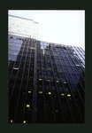 Block 038: Pearl Street between Maiden Lane and Pine Street (east side)