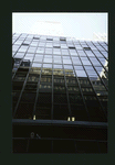Block 038: Pine Street between Pearl Street and Water Street (north side)