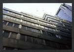 Block 039: Pine Street between Water Street and Pearl Street (south side)