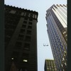 Block 039: Pearl Street between Pine Street and Wall Street (east side)