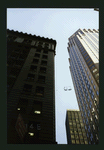 Block 039: Pearl Street between Pine Street and Wall Street (east side)