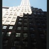 Block 041: Pearl Street between Cedar Street and Pine Street (west side)