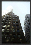 Block 041: Pearl Street between Cedar Street and Pine Street (west side)