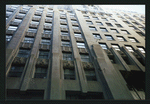 Block 041: Cedar Street between Pearl Street and William Street (south side)