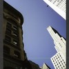 Block 041: Cedar Street between Pearl Street and William Street (south side)