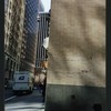 Block 042: Pine Street between Pearl Street and William Street (south side)