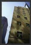 Block 042: Pine Street between Pearl Street and William Street (south side)