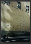 Block 042: Pine Street between Pearl Street and William Street (south side)