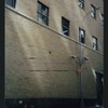 Block 042: Pine Street between Pearl Street and William Street (south side)