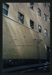 Block 042: Pine Street between Pearl Street and William Street (south side)