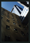 Block 042: Pine Street between Pearl Street and William Street (south side)