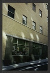 Block 042: Pine Street between Pearl Street and William Street (south side)