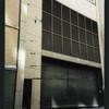 Block 042: Pine Street between Pearl Street and William Street (south side)