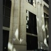 Block 042: Pine Street between Pearl Street and William Street (south side)