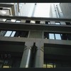 Block 042: Pine Street between Pearl Street and William Street (south side)