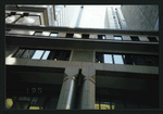 Block 042: Pine Street between Pearl Street and William Street (south side)