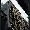 Block 042: Pine Street between Pearl Street and William Street (south side)