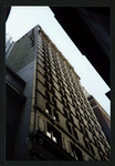 Block 042: Pine Street between Pearl Street and William Street (south side)