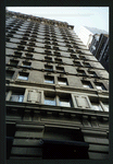 Block 042: Pine Street between Pearl Street and William Street (south side)