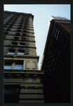 Block 042: Pine Street between Pearl Street and William Street (south side)