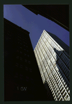 Block 049: William Street between Wall Street and Pine Street (west side)