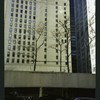 Block 050: William Street between Pine Street and Liberty Street (west side)