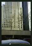 Block 050: William Street between Pine Street and Liberty Street (west side)
