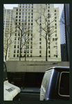 Block 050: William Street between Pine Street and Liberty Street (west side)