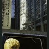 Block 050: William Street between Pine Street and Liberty Street (west side)