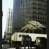 Block 050: Nassau Street between Liberty Street and Pine Street (east side)