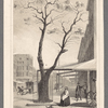 The old pear-tree planted by Governor Stuyvesant, Cor 3d. Ave. & 13th St.