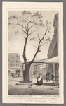 The old pear-tree planted by Governor Stuyvesant, Cor 3d. Ave. & 13th St.