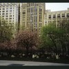 Block 058: Broadway between Thames Street and Rector Street (west side)