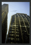 Block 059: Broad Street between Exchange Place and Wall Street (west side)