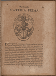 Materia Prima